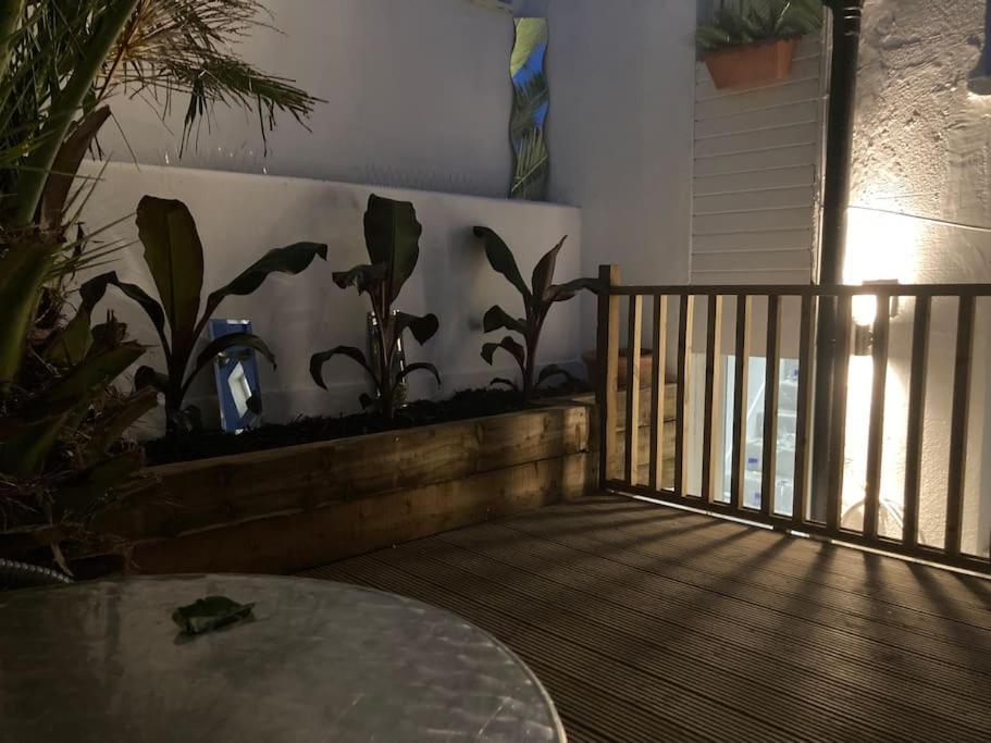 Brighton Palms Lejlighed Eksteriør billede