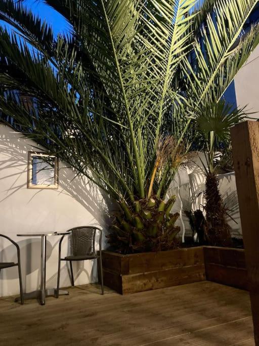 Brighton Palms Lejlighed Eksteriør billede