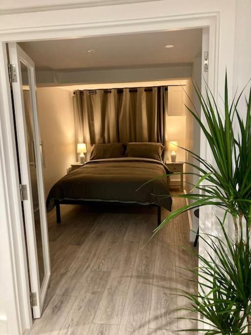 Brighton Palms Lejlighed Eksteriør billede